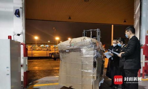 重庆海关2020年成绩单 推进放管服改革，货物进出口时效再压缩68.32小时和0.39小时