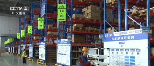 买遍全球有保障，代理护航显格局——中国高水平对外开放下的消费者力量与进出口服务