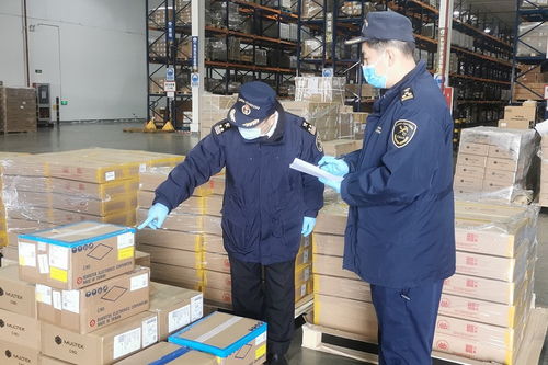天津海关创新举措赋能保税物流中心，经开区带b进出口值同比增长66.6%